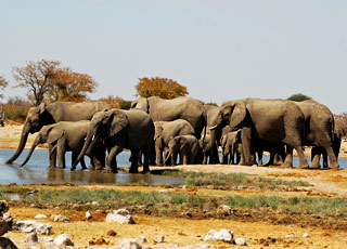 Walvis Bay